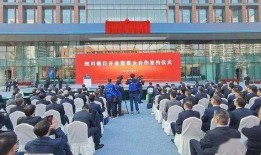 四川银行最新爆料,揭秘金融创新与风险管控新动向