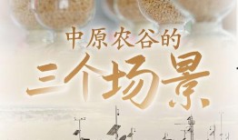 中原农谷爆料视频,视频爆料带你探秘农业科技新篇章
